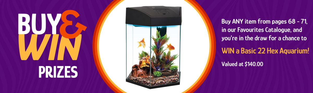 2026-LandingPage-AQUARIUM.jpg