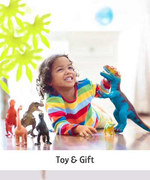 CategoryLandingTile-TOYANDGIFT.jpg