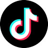 TikTok-100px-WEB.jpg